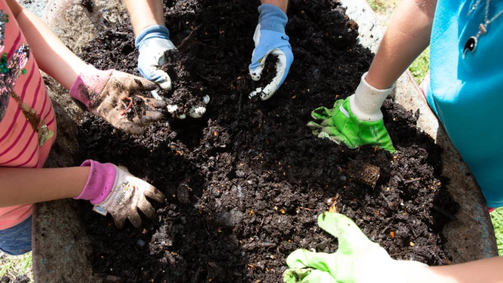 Beneficios y Usos del Compost
