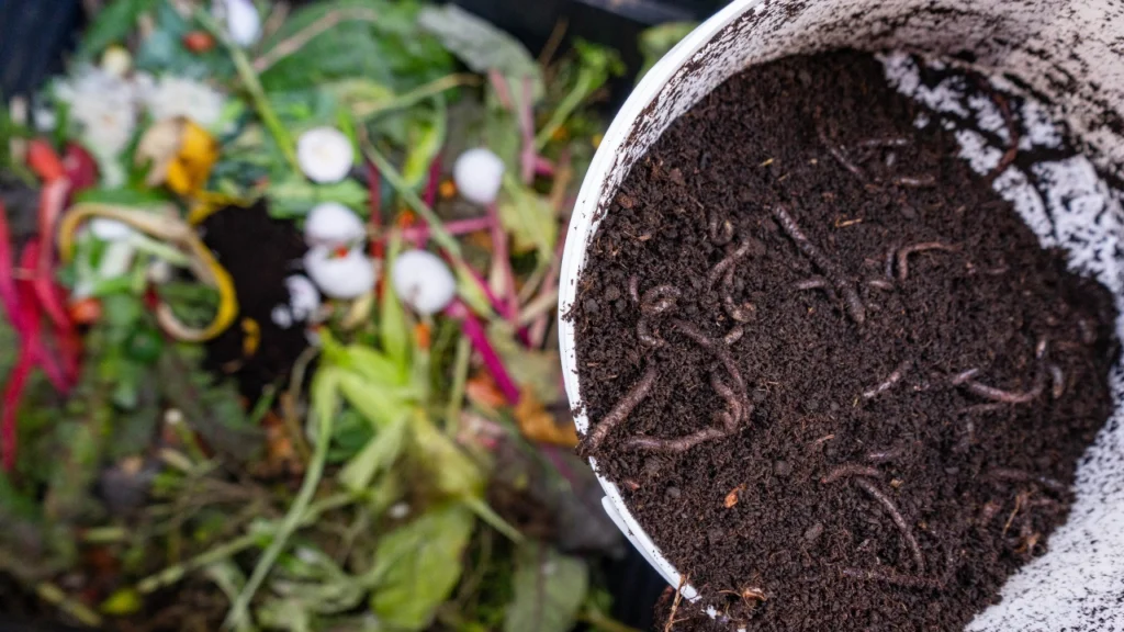 ¿CÓMO SE HACE EL COMPOST?