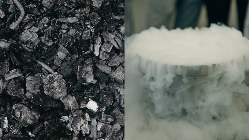 EL EQUILIBRIO ENTRE CARBONO Y NITRÓGENO