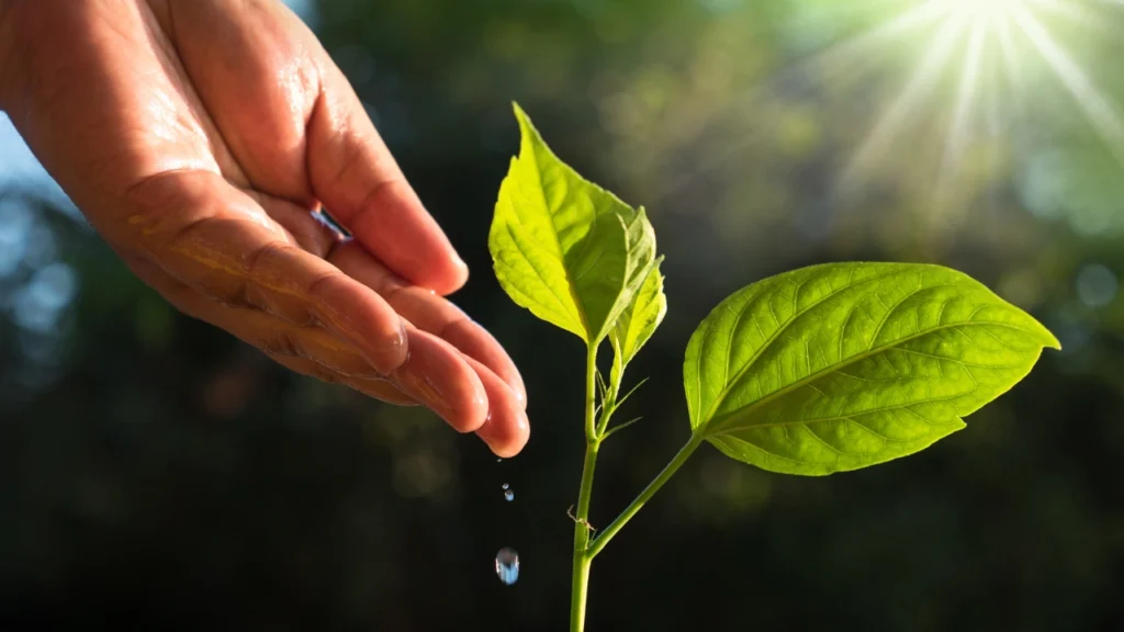 FACTORES FÍSICOS PARA UN BUEN COMPOST